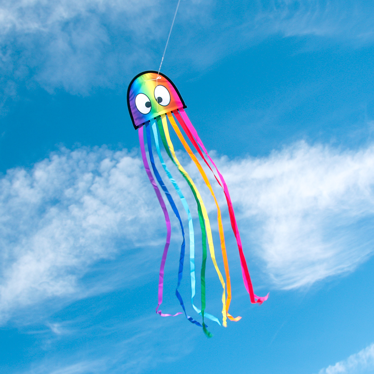 Wolkenstürmer - Kinderdrachen Mini Octopus Krake in Regenbogen am Himmel Wolkenstürmer - Kinderdrachen Mini Octopus Krake in Regenbogen am Himmel
